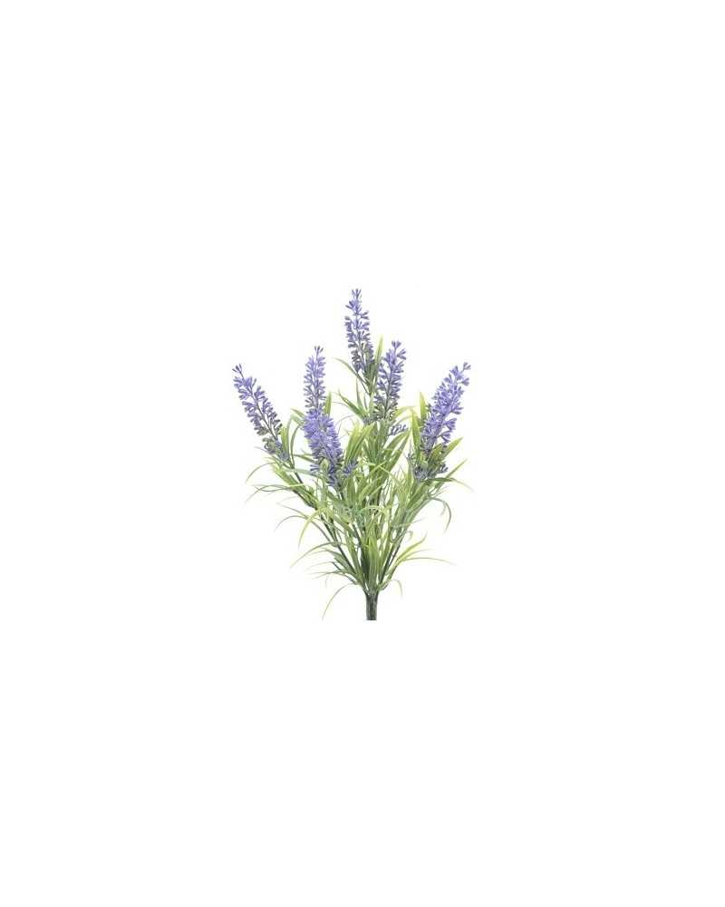 Pick | Pick lavanda x 7 cm 13h34 cf 36 | 