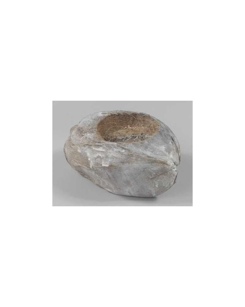 Decor Vasi & Coprivasi | Portavaso coconut white-wash cm 10 | 