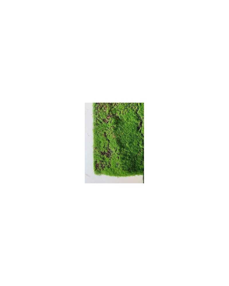 Collezione Muschio | Tappeto di muschio verde 100x100 | 