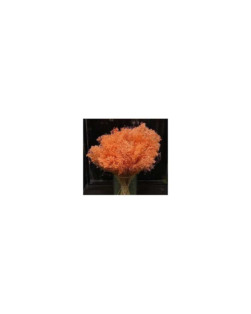 Fiori Secchi decorativi | Cf 100gr broom blooms pesca | 