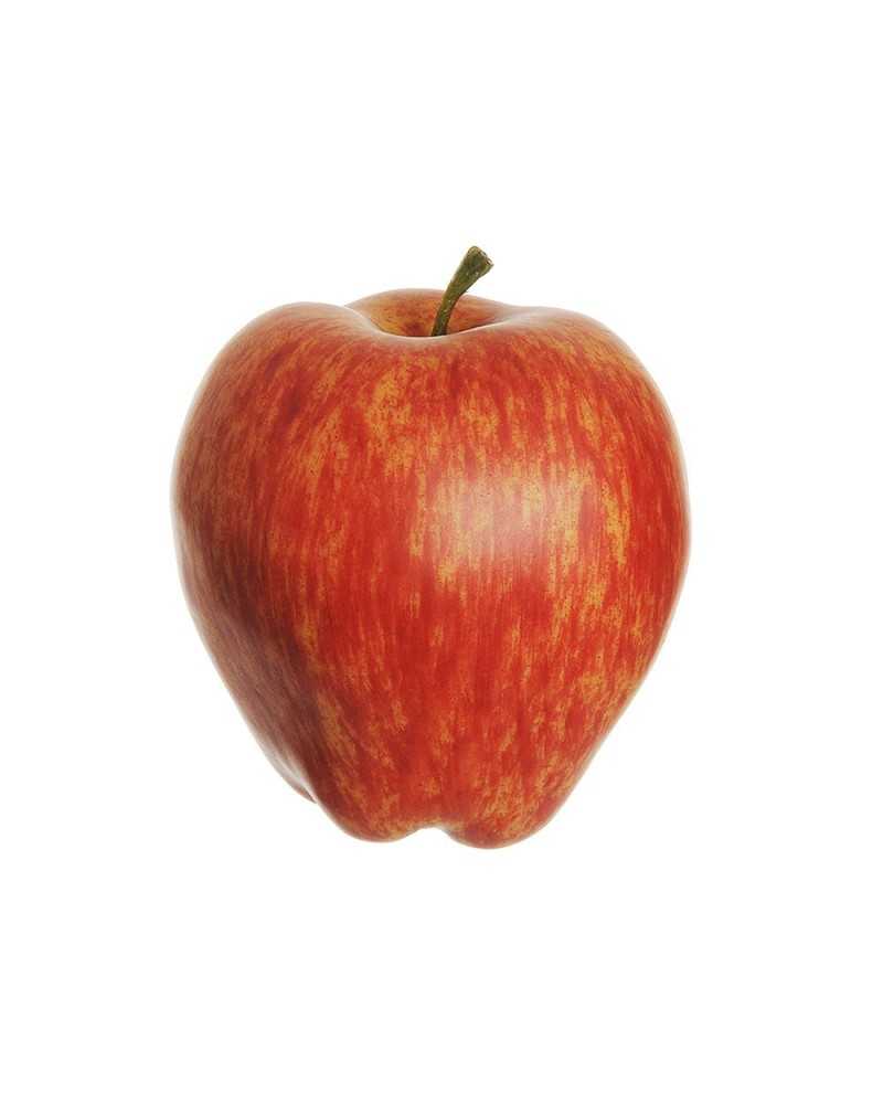 Decorazioni | Cf 6 mele real cm 9.5x6 red yellow | 