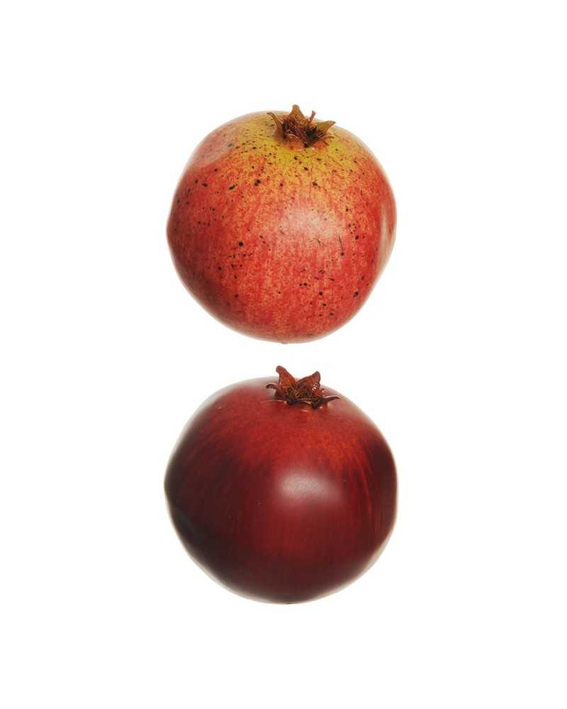 Frutta Artificiale | Cf 6 melograni real cm 8.5 x 8.5 ass 2 dark red | 
