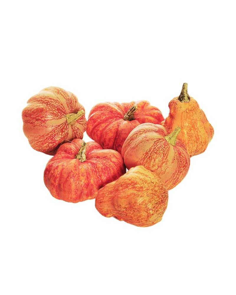 Decorazioni | Cf 6 pz zucche assortite dm 7-10 orange ( 4 ) | 