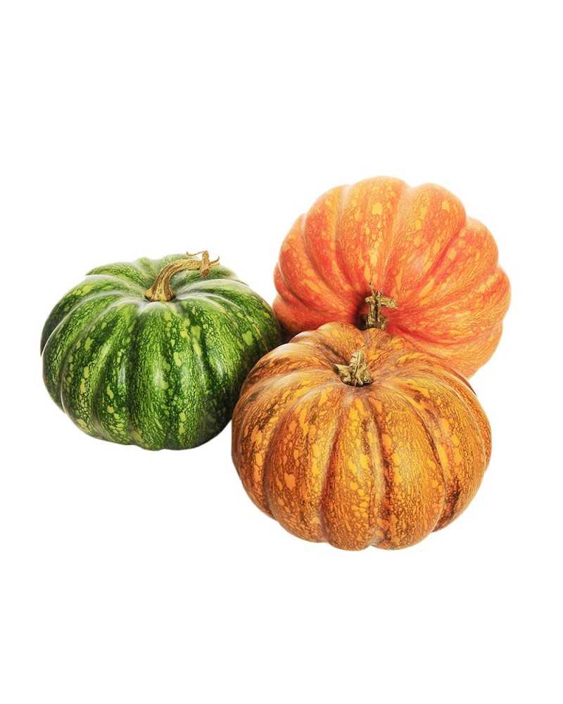 Decorazioni | Cf 3 pz zucche dm 21 h16 dk orange- ligt ora- green ( 2 ) | 