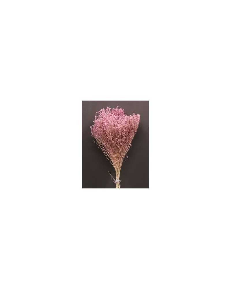 Fiori Secchi decorativi | Cf 100gr broom blooms rosa | 