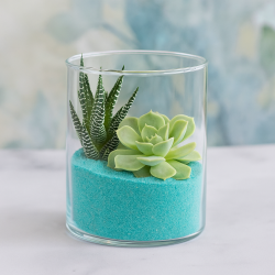 Vaso cilindro di vetro dm 10 h10 trasparente