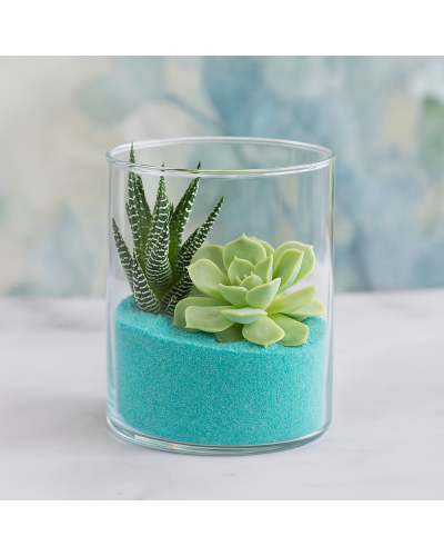 Vaso Cilindro in Vetro Trasparente per decorazioni