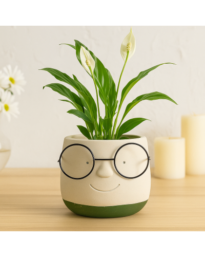 Coprivaso Testa in Cemento con Occhiali – Bianco e Verde H.13 cm