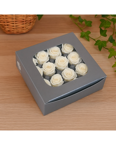 Rosa Stabilizzata Mini Bianca – Confezione 16 Pz in Scatola