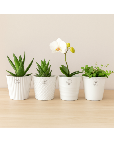 COPRIVASO IN CERAMICA - D.13,5 CM X H.13 CM - BIANCO