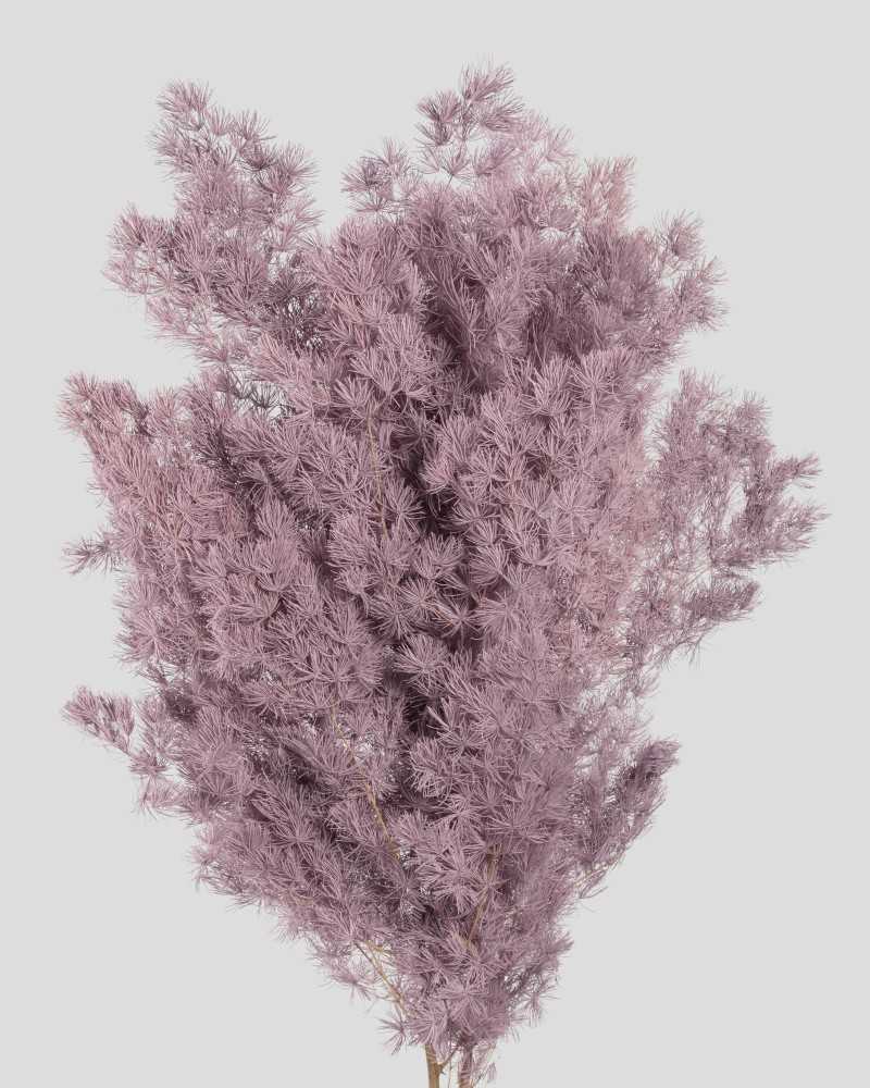 Fiori Stabilizzati | Mazzo ming fern mauwe | 