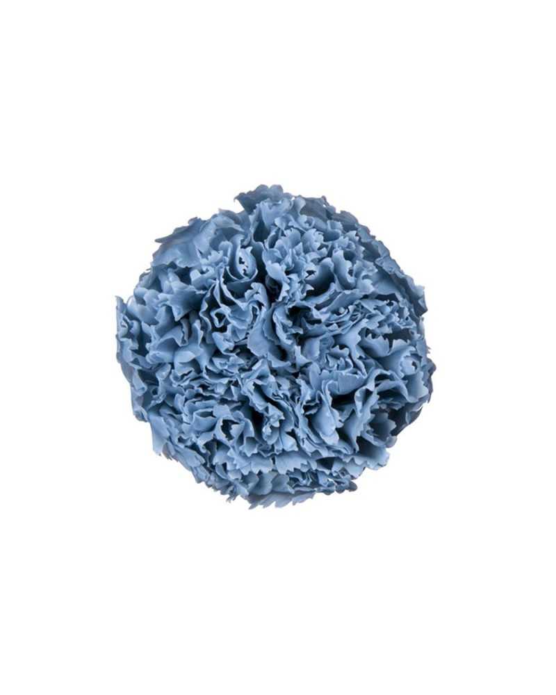 Fiori Stabilizzati | Cf 8 pz garofani stabilizzati dm 5-6 cm dusty blue | 