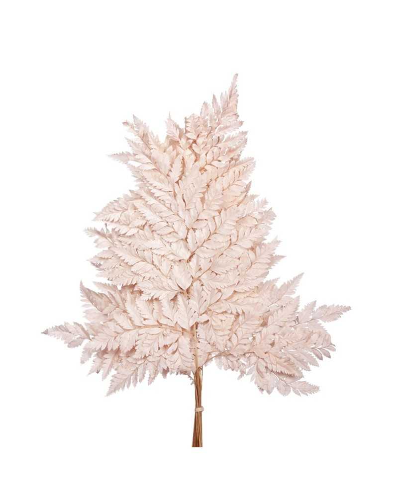 Fiori Stabilizzati | Cf 10 pz holly fern pink h 40 pink | 