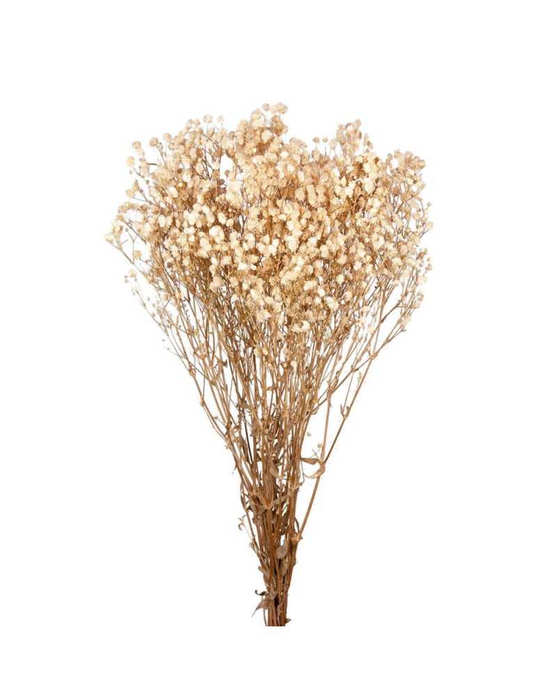 Fiori Stabilizzati | Cf 120gr gypsophila stabilizzata h 65 cm bianca | 