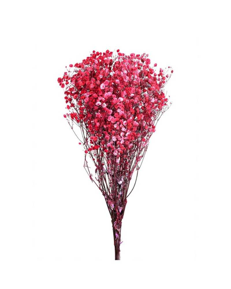 Fiori Stabilizzati | Cf 120gr gypsophila stabilizzata h 65 cm rossa | 