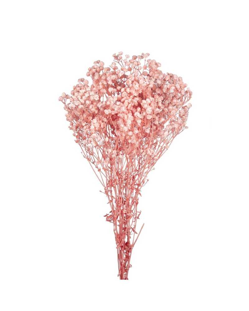 Fiori Stabilizzati | Cf 120gr gypsophila stabilizzata h 65 cm pink | 