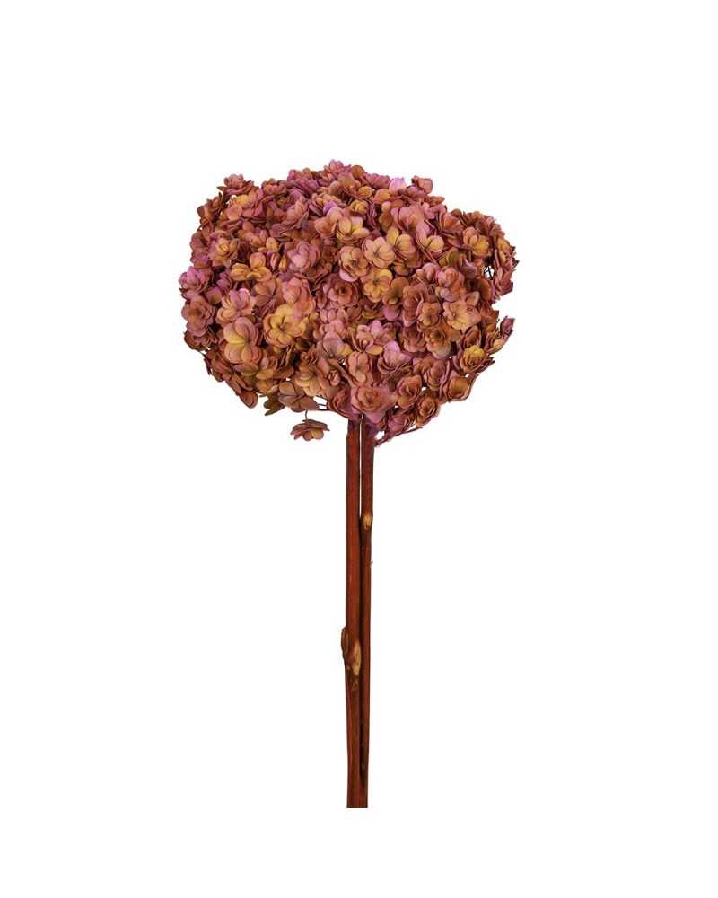 Fiori Stabilizzati | Ortensia stabilizzata twin petals pink-orange dm 18-20 h 60 | 