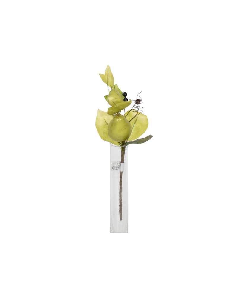 Nuovi arrivi | Piick pere verdi marroni | 