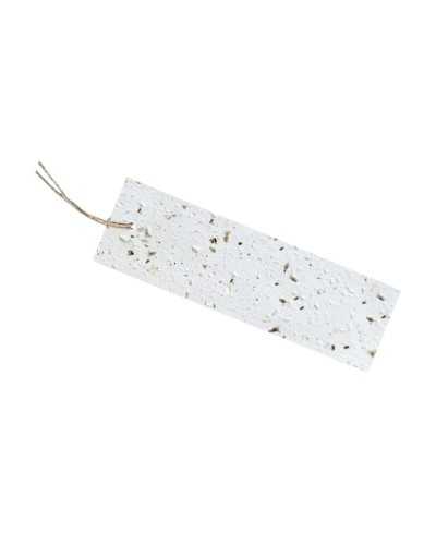 Biglietti e Mollette | Cf 50 cartoncini con semi di fiori cm 3.5x13.5 bianchi | 