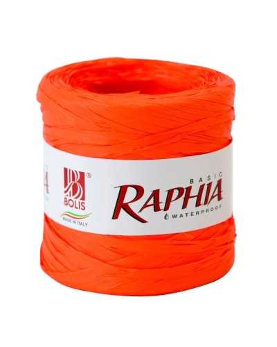 Nuovi arrivi | Raphia basic 200 mt arancio | 