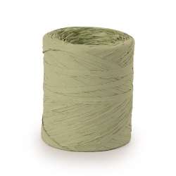 Bobina poly rafhia mm 15 x 200 mt mt salvia in Cordini e Raphia