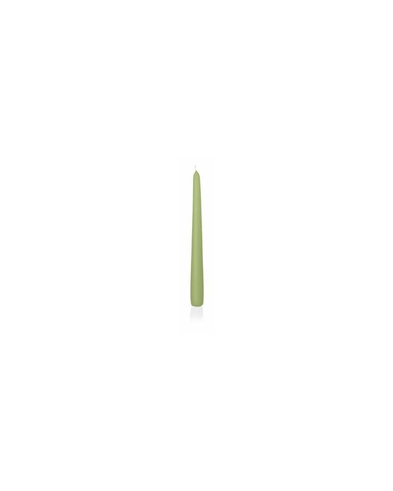 Candele | Cf 12 pz candela conica cm 25 aloe-vera | 