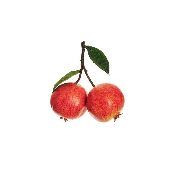Rametto con 2 melograni real feeling in Rami, Foglie e Frutti Artificiali