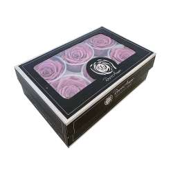 Cf 6pz rose stabilizzate dm 6-6.5 h 5-7  rosa antico