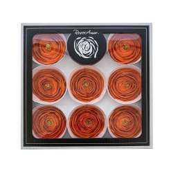 Cf 9 pz ranuncoli stabilizzati arancio..
