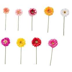 Cf 36 pz gerbera  assortita cm 49 ass 9 colori