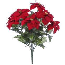 Bush mini  poinsettia x 9 cm 37 rossa di velluto