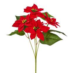 Bush di poinsettia x5 h 30 rosso di velluto