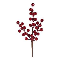 Cf 12 bacche cm 32 burgundy