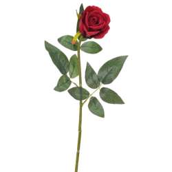 Bocciolo di rosa  velluto h...