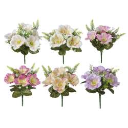 Cf 36pz mini bush anemoni 6 colori assor