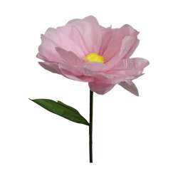 Fior dii carta dm 35 h117 light pink