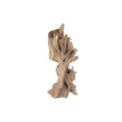 Ramo cm 70x50 h175 teak deco root naturale