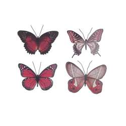 Box farfalle assortite 12.9-16.5x8-12cm