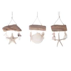Box 3pz conchiglie su tronco cm 15 x16 naturale