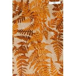 Bobina paper fibra felce cm 75 x 20mt aranciato