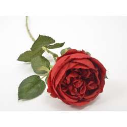 Rosa singola 65cm rossa
