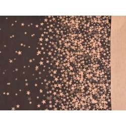 Bobina firefly carta impermeabile cm 100x25mt nero naturale
