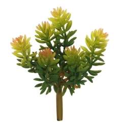 Pianta succulent x6 cm 17 verde