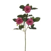 Ramo rosa lady x 3 fuxia cm 69