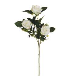 Ramo rosa lady x 3 white light green cm 69