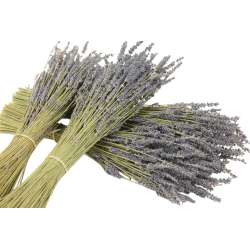 Bunch lavanda blue100gr