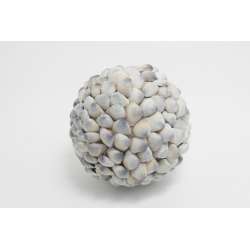 Sfera di conchiglie cm 15 nat
