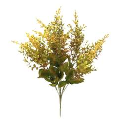 Bush eucalyptus sedium x10 giallo