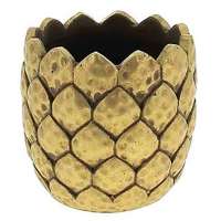 Coprivaso pigna dm 11 h 15 gold