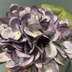 Ramo ortensia flemish autun spray lavander